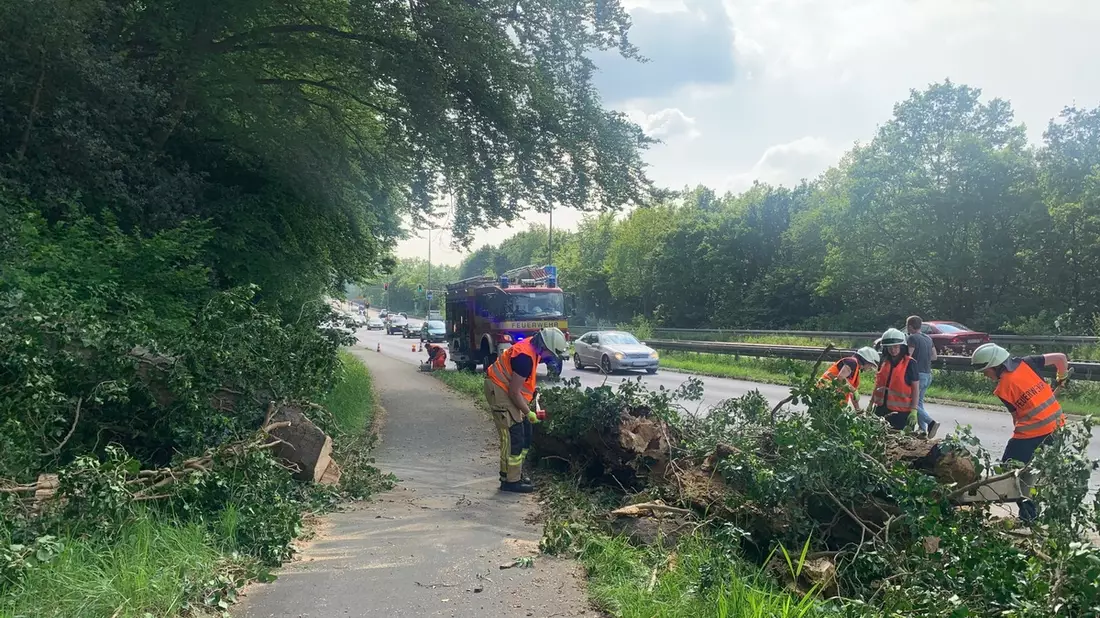 FW-EN: Umstürzender Baum verfehlt fahrenden PKW nur knapp & Rauchentwicklung im Linienbus - Bild: presseportal.de