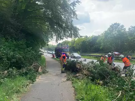 FW-EN: Umstürzender Baum verfehlt fahrenden PKW nur knapp & Rauchentwicklung im Linienbus - Foto: presseportal.de