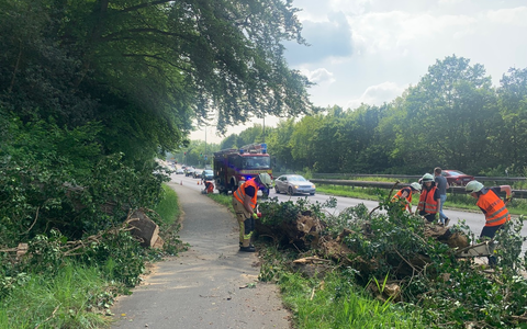 FW-EN: Umstürzender Baum verfehlt fahrenden PKW nur knapp & Rauchentwicklung im Linienbus - Foto: presseportal.de