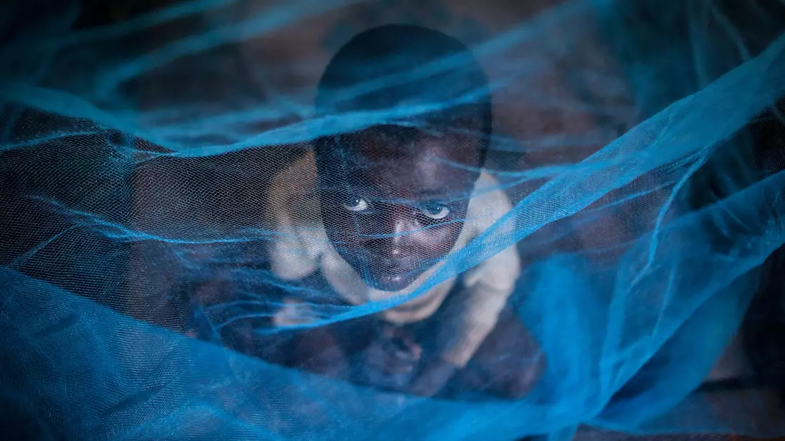 Ein Flüchtlingskind aus Burundi sitzt in Gashora, Ruanda, unter einem Moskitonetz: Der Malaria-Erreger wird durch Anopheles-Stechmücken übertragen. - Bild: Dai Kurokawa/EPA/dpa