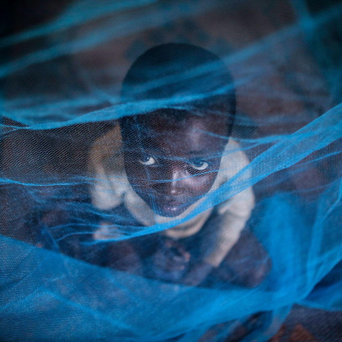 Ein Flüchtlingskind aus Burundi sitzt in Gashora, Ruanda, unter einem Moskitonetz: Der Malaria-Erreger wird durch Anopheles-Stechmücken übertragen. - Foto: Dai Kurokawa/EPA/dpa