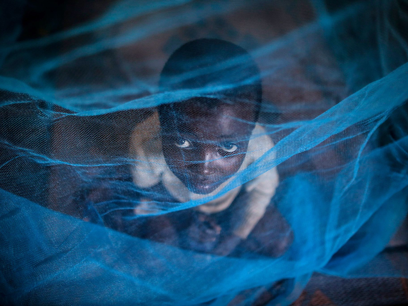 Ein Flüchtlingskind aus Burundi sitzt in Gashora, Ruanda, unter einem Moskitonetz: Der Malaria-Erreger wird durch Anopheles-Stechmücken übertragen. - Foto: Dai Kurokawa/EPA/dpa