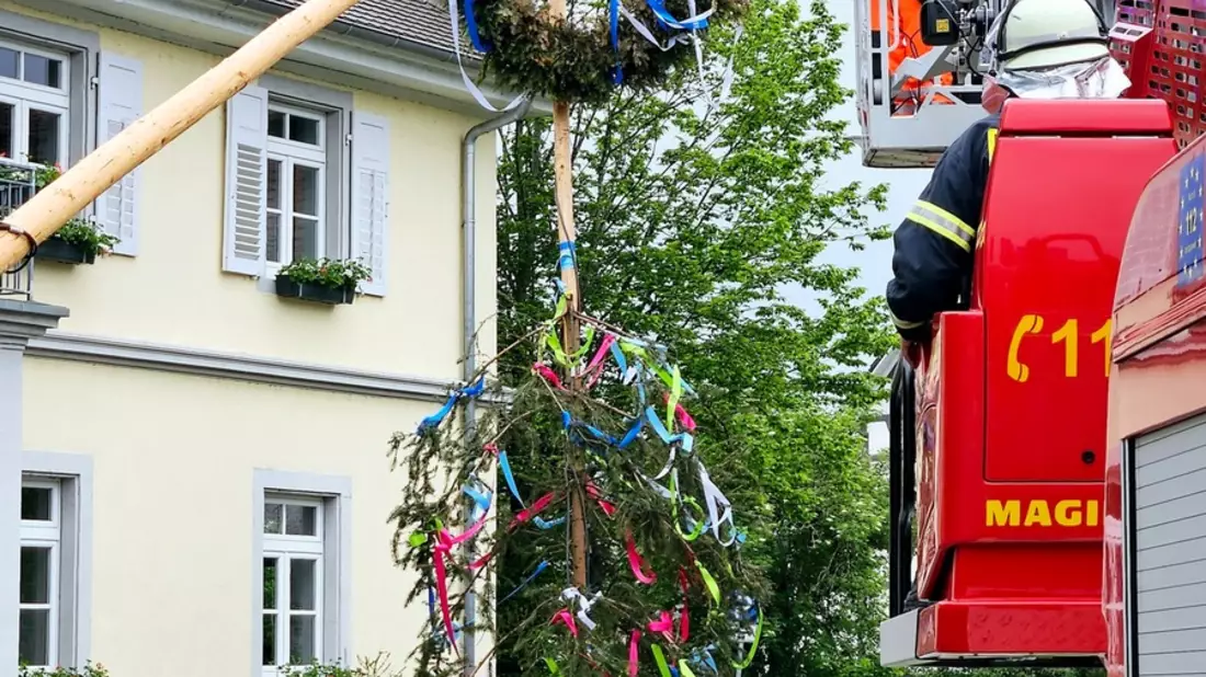 FW-Radolfzell: Maibaum auf Abwegen - Bild: presseportal.de