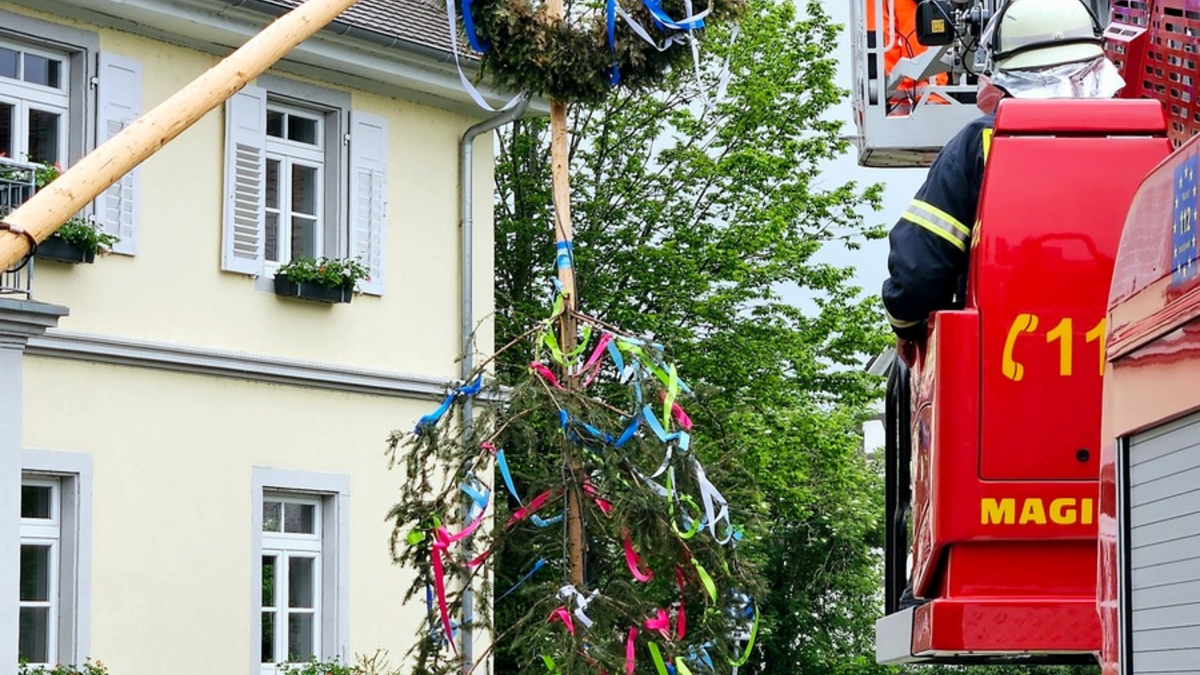 FW-Radolfzell: Maibaum auf Abwegen - Foto: presseportal.de