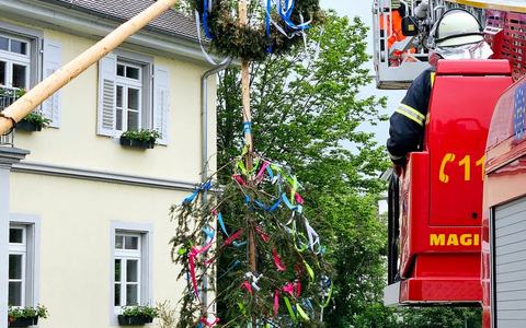 FW-Radolfzell: Maibaum auf Abwegen - Foto: presseportal.de