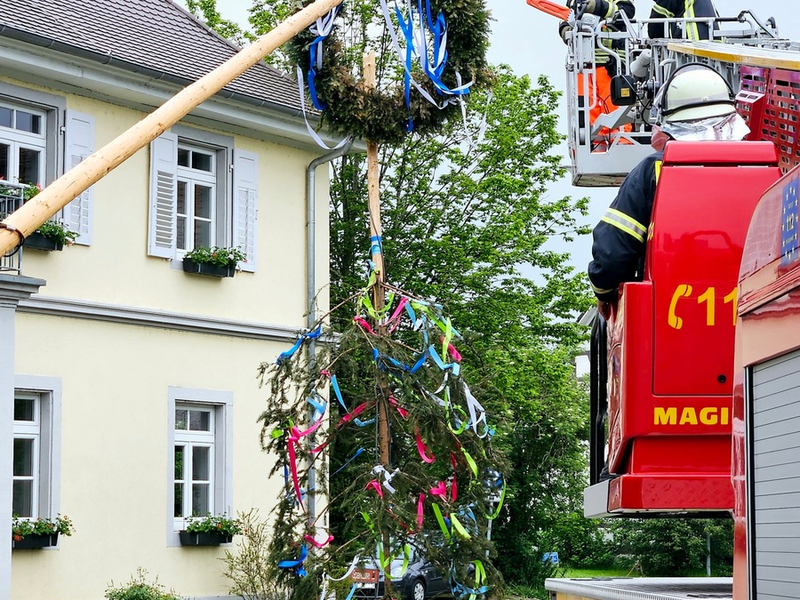 FW-Radolfzell: Maibaum auf Abwegen - Foto: presseportal.de