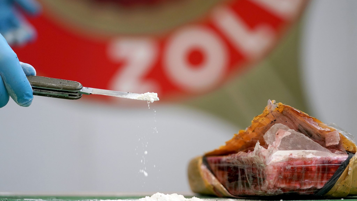 Immer mehr Kokain kommt in Containern aus Südamerika nach Deutschland. - Foto: Marcus Brandt/dpa