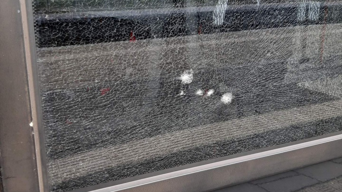 BPOLI MD: Zeugenaufruf der Bundespolizei: Vermutliche Steinwürfe auf Scheiben von Intercityexpress und Regionalbahn - Foto: presseportal.de