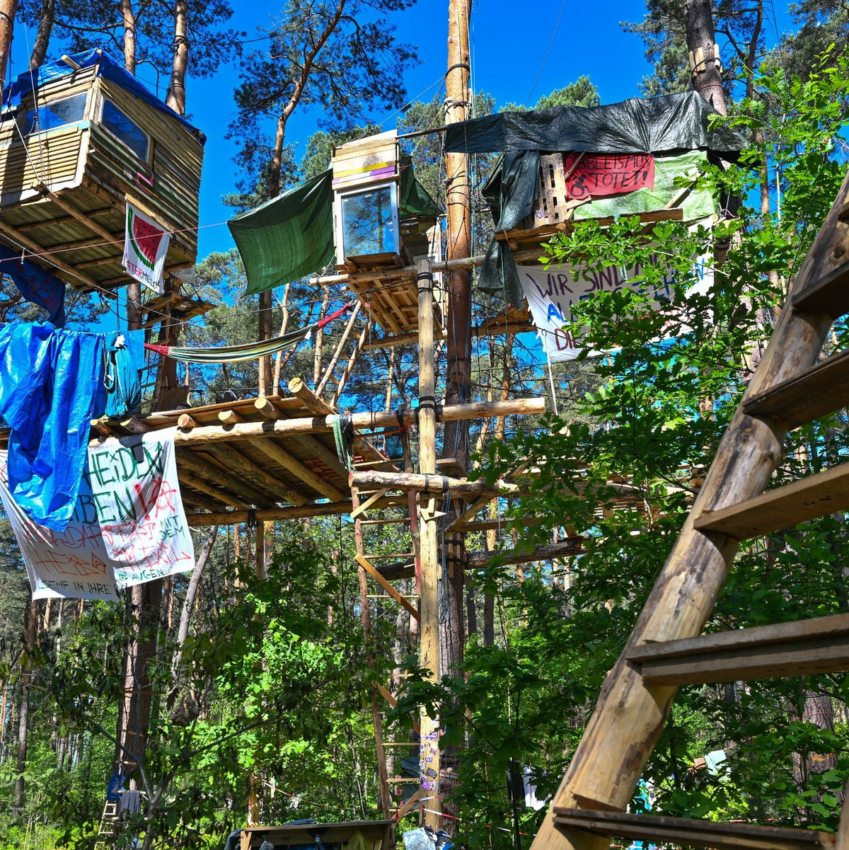 Aktivisten der Initiative «Tesla stoppen» haben in einem Wald nahe dem Werk der Tesla-Gigafactory Berlin-Brandenburg Baumhäuser gebaut. - Foto: Patrick Pleul/dpa