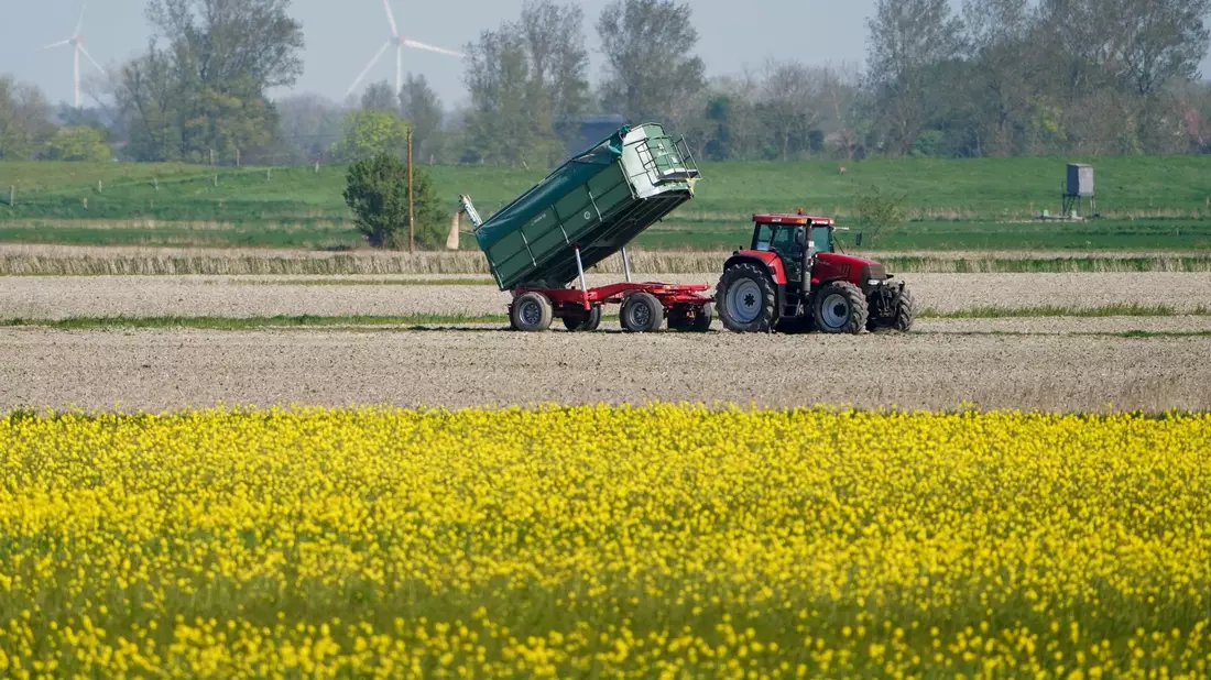 Die Umweltauflagen für Landwirte sollen auf EU-Ebene gelockert werden - das ist nicht unumstritten. - Bild: Marcus Brandt/dpa