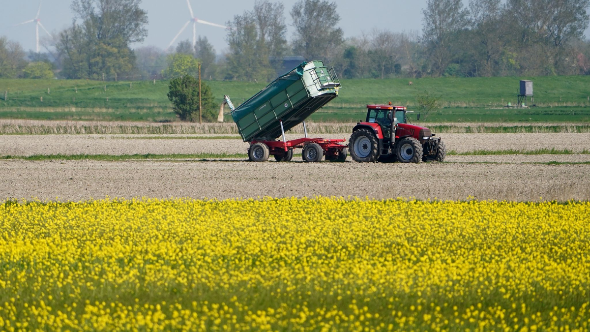Die Umweltauflagen für Landwirte sollen auf EU-Ebene gelockert werden - das ist nicht unumstritten. - Foto: Marcus Brandt/dpa