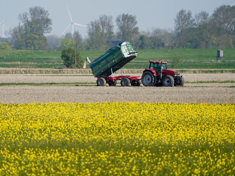 Die Umweltauflagen für Landwirte sollen auf EU-Ebene gelockert werden - das ist nicht unumstritten. - Foto: Marcus Brandt/dpa