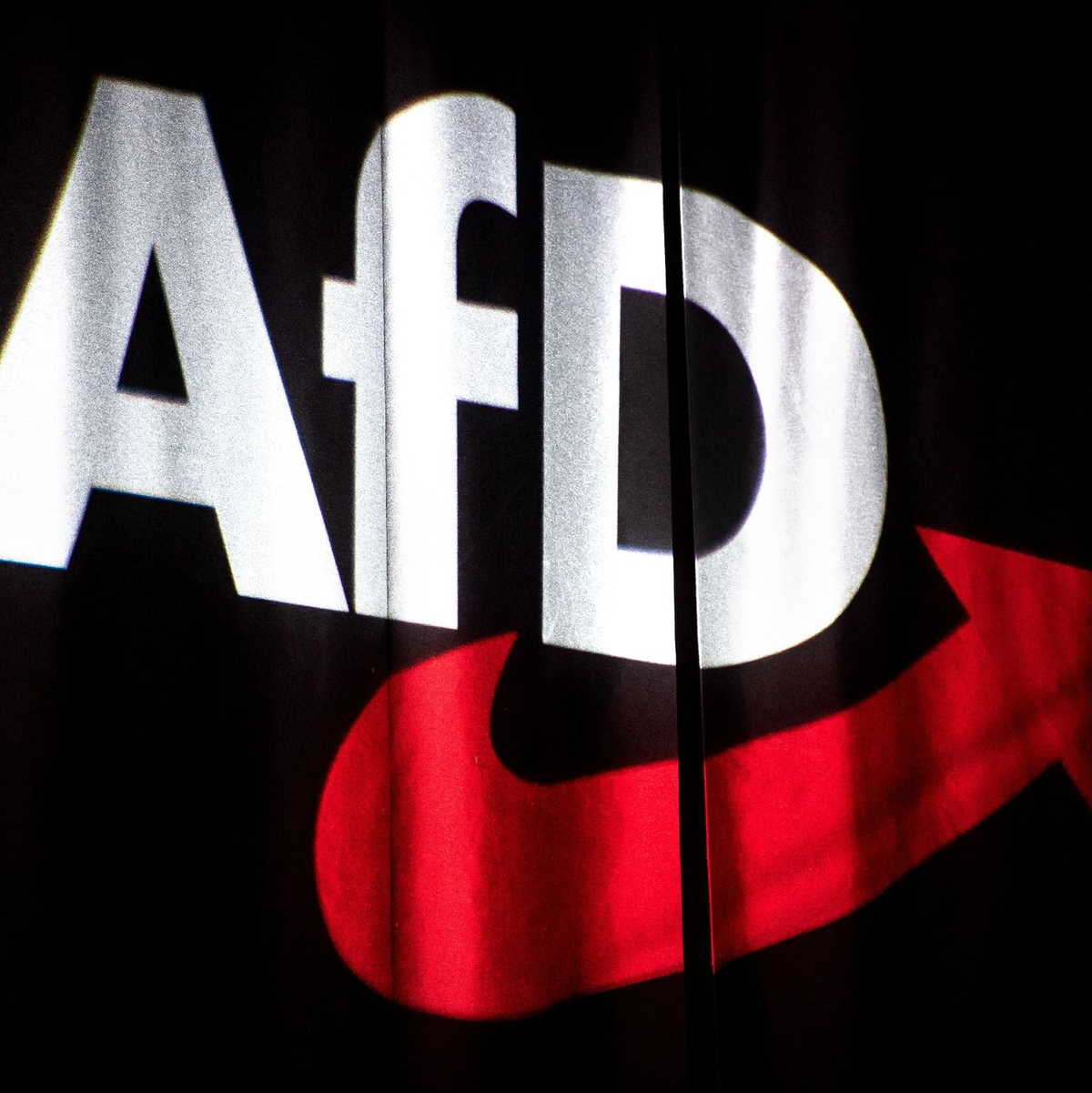 Gericht: Die AfD wird zu Recht als rechtsextremistischer Verdachtsfall eingestuft. - Foto: Sina Schuldt/dpa