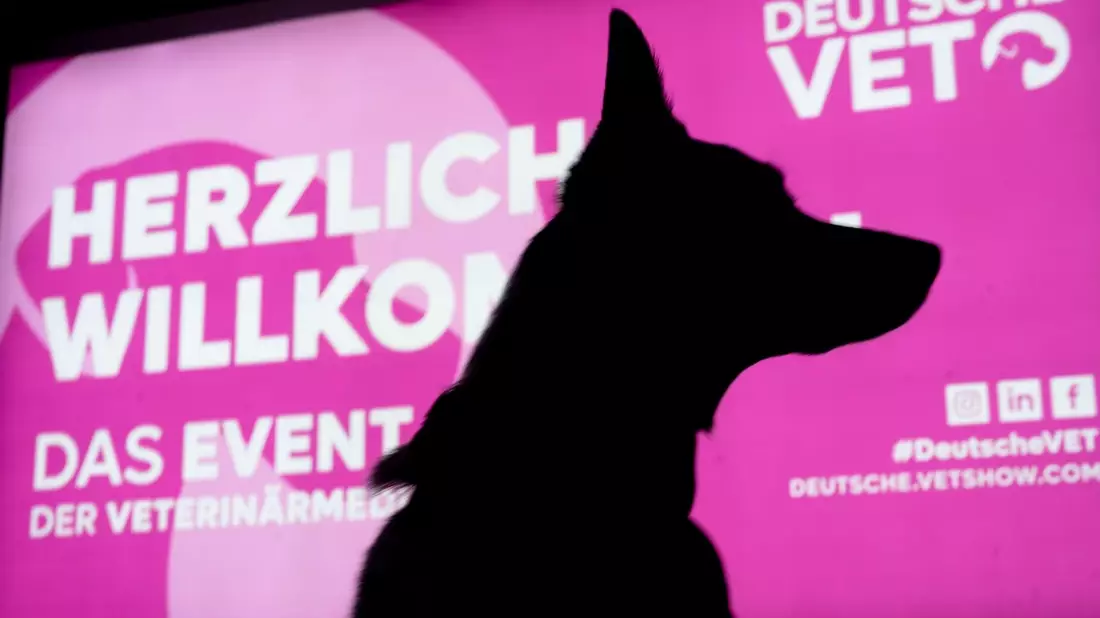 DeutscheVET 2024: Das Highlight-Event der Veterinärmedizin / MESSE DORTMUND | 07. - 08. Juni 2024 - Bild: presseportal.de