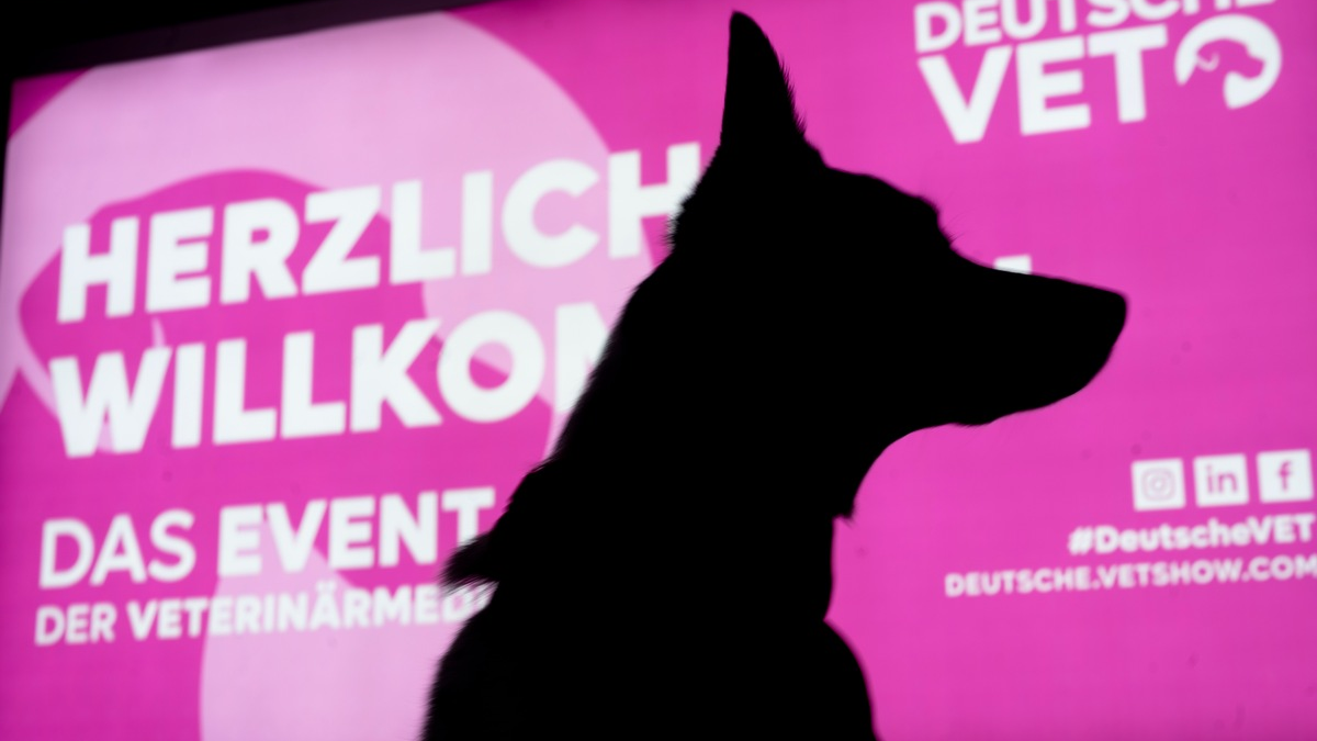 DeutscheVET 2024: Das Highlight-Event der Veterinärmedizin / MESSE DORTMUND | 07. - 08. Juni 2024 - Foto: presseportal.de