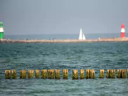 Die Ostsee ist laut einer Studie relativ stark mit dem giftigen Schwermetall Thallium belastet. - Foto: Frank Hormann/dpa
