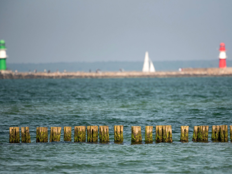 Die Ostsee ist laut einer Studie relativ stark mit dem giftigen Schwermetall Thallium belastet. - Foto: Frank Hormann/dpa