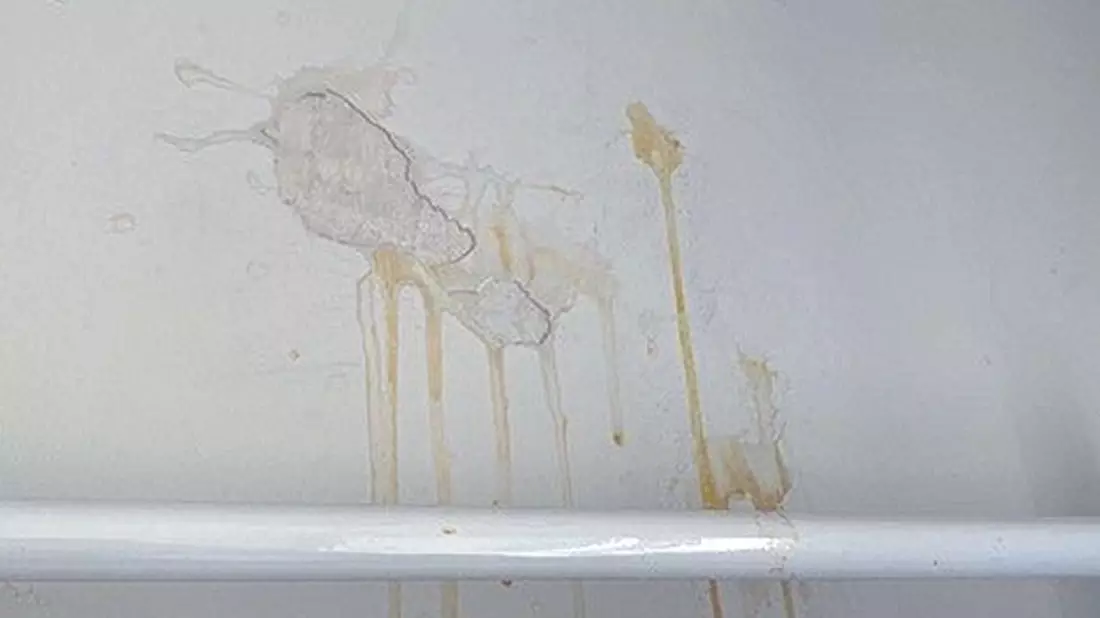 POL-PPWP: Eier durch offenes Fenster geworfen - Bild: presseportal.de