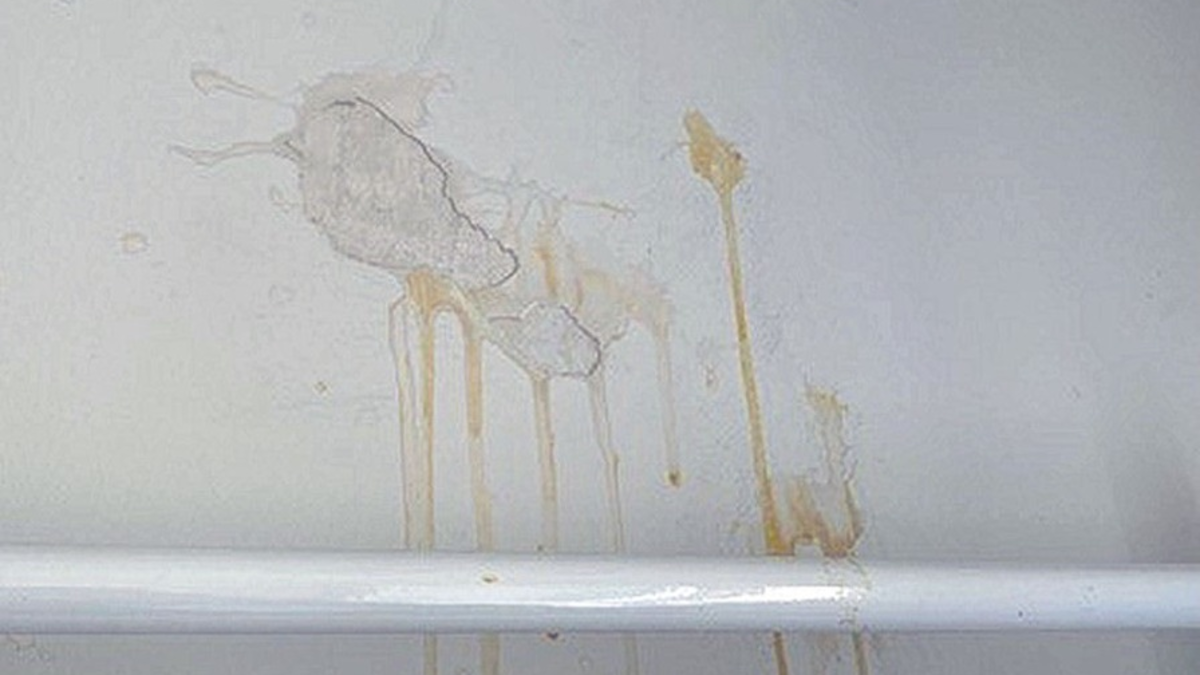 POL-PPWP: Eier durch offenes Fenster geworfen - Foto: presseportal.de