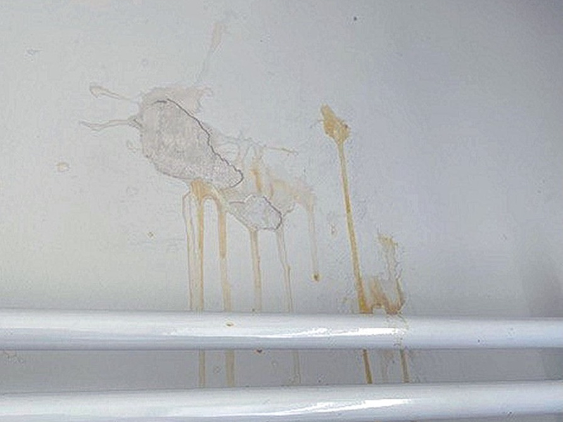 POL-PPWP: Eier durch offenes Fenster geworfen - Foto: presseportal.de