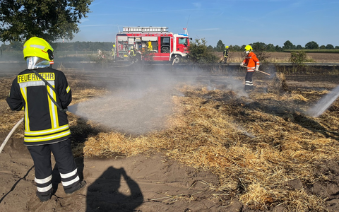 POL-NI: Stöckse - Straftat nach dem Tierschutzgesetz - Foto: presseportal.de