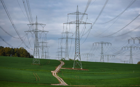 Der Bau ober- statt unterirdischer Stromtrassen soll Zeit und Geld sparen. - Foto: Jan Woitas/dpa