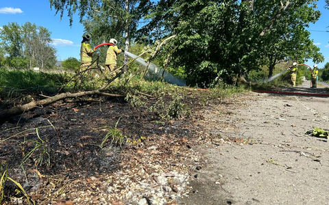 FW Dresden: Informationen zum Einsatzgeschehen der Feuerwehr Dresden am 14. Mai 2024 - Foto: presseportal.de