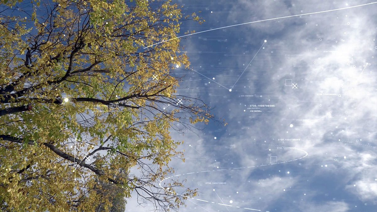 Tiefgründiges Fühlen, Denken und Fragen: 3sat zeigt Doku 