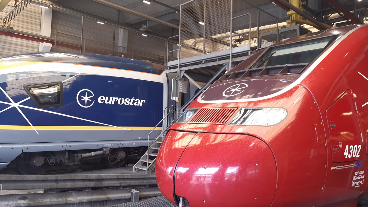 Das Bahnunternehmen Eurostar will in bis zu 50 neue Züge investieren. - Foto: Jan Nagels/Belga/dpa