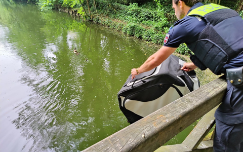 POL-NOM: Anwohnerin bemerkt Entenfamilie - Foto: presseportal.de