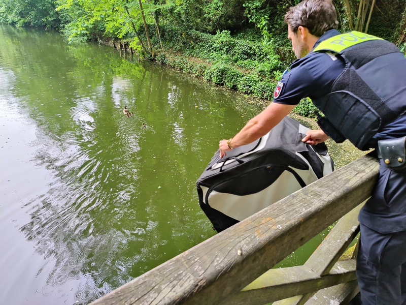 POL-NOM: Anwohnerin bemerkt Entenfamilie - Foto: presseportal.de