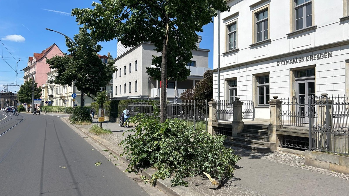 FW Dresden: Sturmlage führt zu mehreren Feuerwehreinsätzen - Foto: presseportal.de