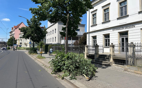 FW Dresden: Sturmlage führt zu mehreren Feuerwehreinsätzen - Foto: presseportal.de