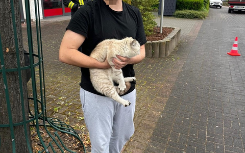 FW Ense: Zweimal Katzen-Rettung innerhalb von 5 Tagen durch die Feuerwehr Ense - Foto: presseportal.de