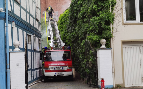 FW Celle: Brannte begrünte Fassade - Foto: presseportal.de