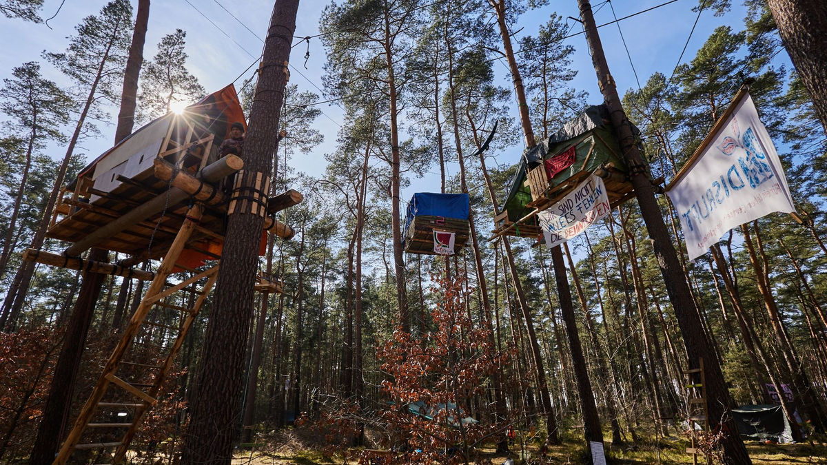 Blick ins Protest-Camp der Initiative «Tesla stoppen» in einem Kiefernwald nahe der Tesla-Gigafactory Berlin-Brandenburg. - Foto: Jörg Carstensen/dpa