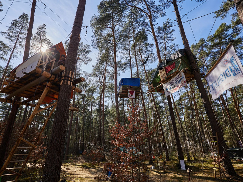 Blick ins Protest-Camp der Initiative «Tesla stoppen» in einem Kiefernwald nahe der Tesla-Gigafactory Berlin-Brandenburg. - Foto: Jörg Carstensen/dpa