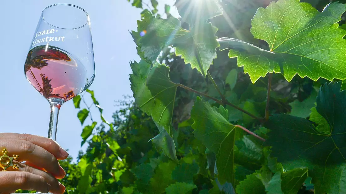 Rosé-Wein wird gerne getrunken. - Bild: Jens Kalaene/dpa