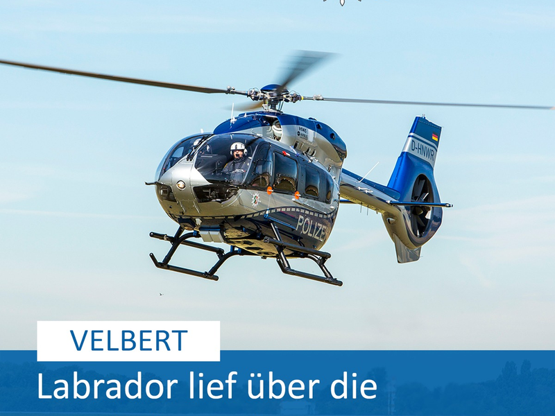 POL-ME: Autobahn gesperrt und Polizeihubschrauber im Einsatz: Entlaufener Labrador löste Großeinsatz aus - Polizei rettete Hund - Velbert - 2405058 - Foto: presseportal.de