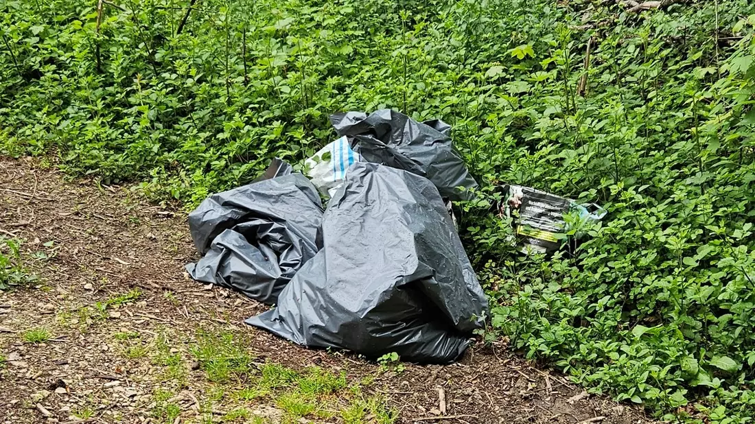 POL-UL: (GP) Wangen - Müll im Wald entsorgt / Unbekannte hinterließen die vergangenen Tage ihren Unrat in einem Waldstück bei Wangen. - Bild: presseportal.de