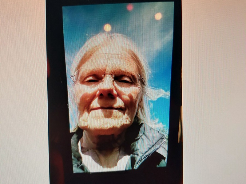 RLS NORD: Polizei bittet um Mithilfe bei der Suche nach einer vermissten Dame. - Foto: presseportal.de