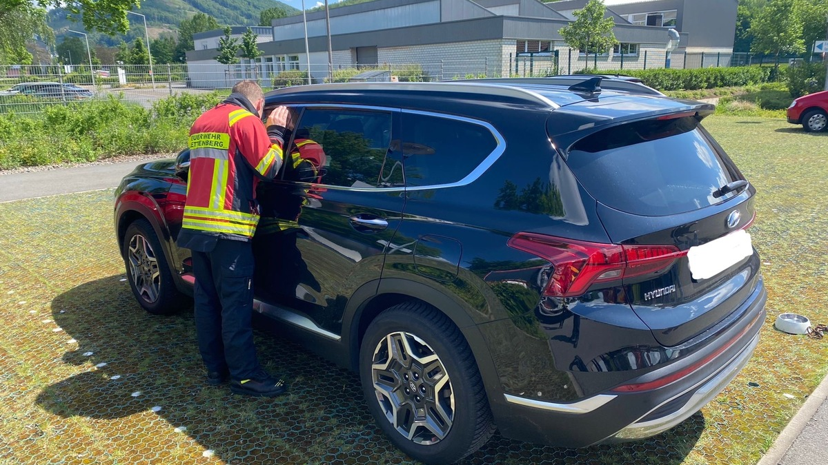 FW-PL: Feuerwehr befreit Hund aus überhitztem Auto. Besitzer genießt den Tag im Freizeitbad. - Foto: presseportal.de
