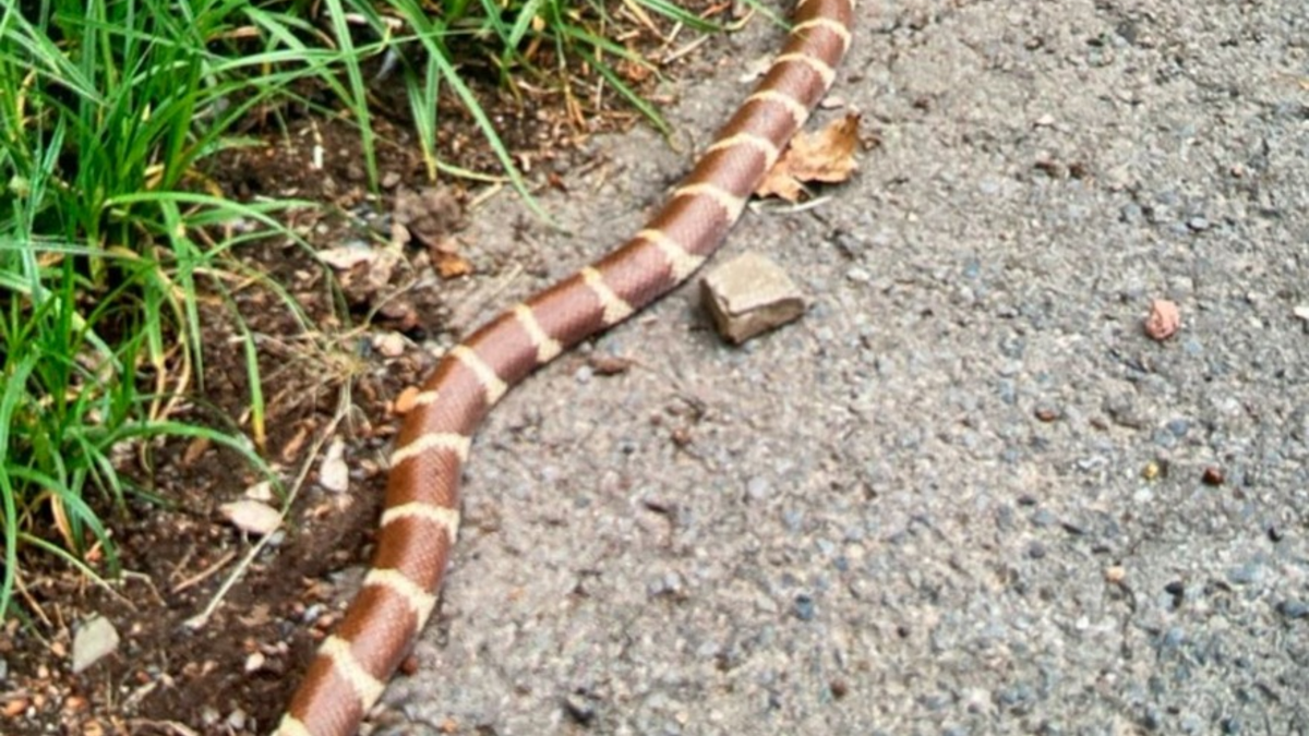 POL-OF: 31-Jähriger soll sich unsittlich gezeigt haben; Gegenstand gegen fahrendes Auto geworfen: Vorläufige Festnahme; VW-Fahrer wird über die Leitplanke in Böschung geschleudert und mehr - Foto: presseportal.de