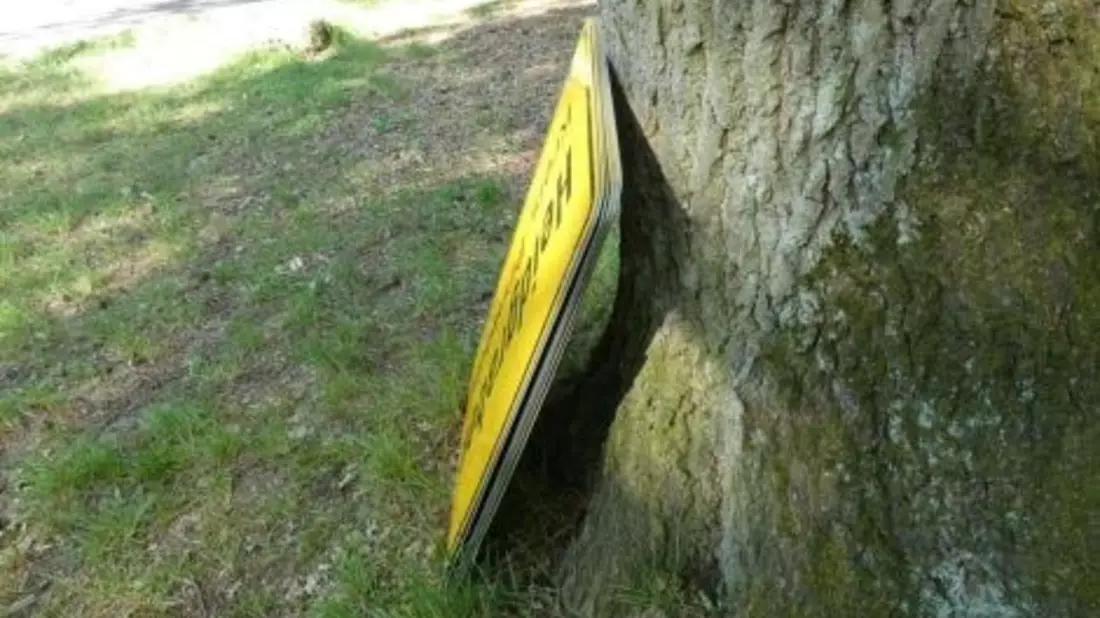 POL-SE: Heede - Frau findet Ortstafeln im Naherholungsgebiet Heeder Tannen - Bild: presseportal.de