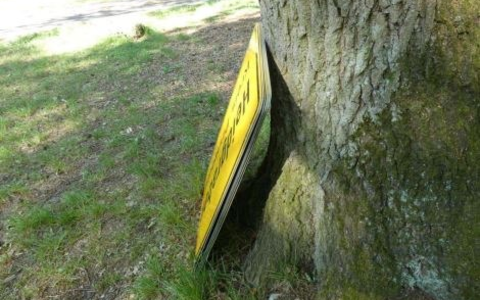 POL-SE: Heede - Frau findet Ortstafeln im Naherholungsgebiet Heeder Tannen - Foto: presseportal.de