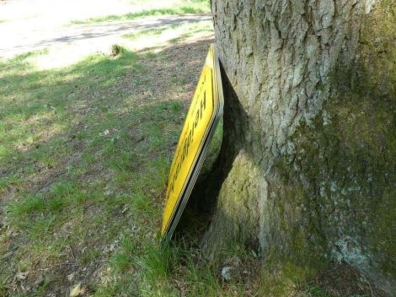 POL-SE: Heede - Frau findet Ortstafeln im Naherholungsgebiet Heeder Tannen - Foto: presseportal.de