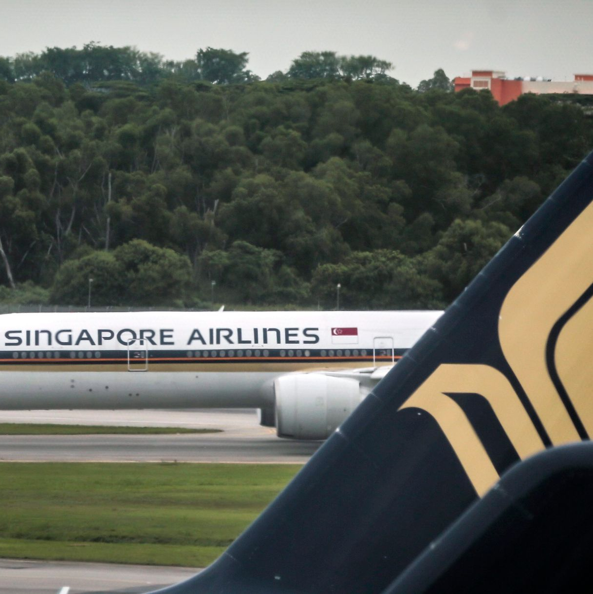 Eine Boeing 777 von Singapore Airlines auf dem Flughafen von Singapur (Archivbild). - Foto: Wallace Woon/dpa