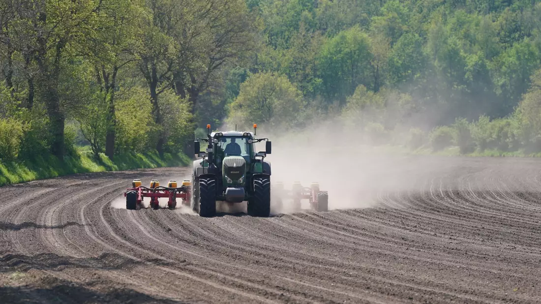 Wie ist es um die Landwirtschaft bestellt? - Bild: Marcus Brandt/dpa
