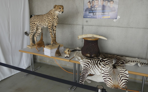 HZA-R: Tag der biologischen Vielfalt - Zoll leistet wichtigen Beitrag zum Schutz bedrohter Tiere und Pflanzen - Foto: presseportal.de