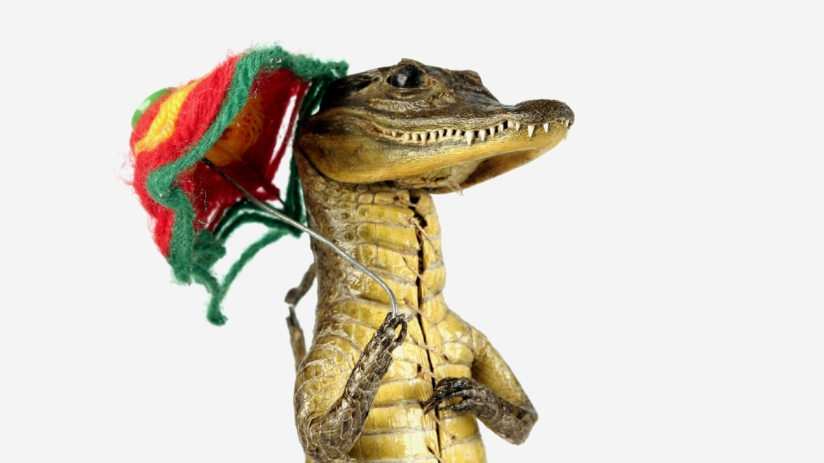 HZA-M: 22. Mai 2024- Internationaler Tag der biologischen Vielfalt Zoll leistet wichtigen Beitrag zum Schutz bedrohter Tiere und Pflanzen - Foto: presseportal.de